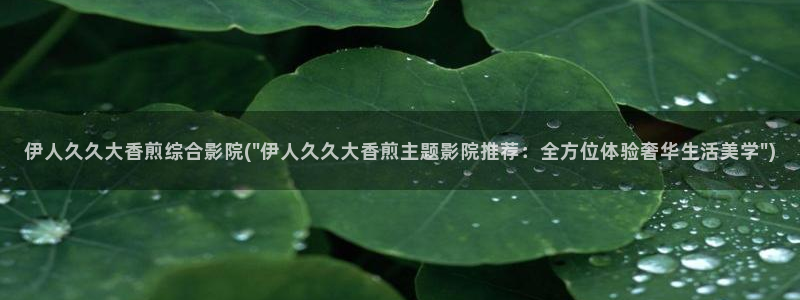 久久伊人狼人影院：伊人久久大香煎综合影院(\