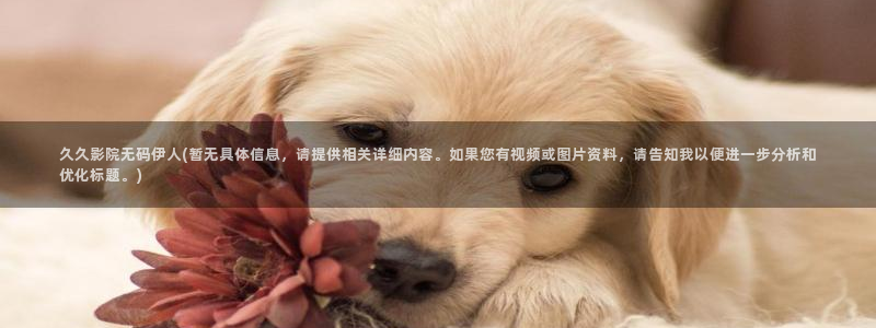 伊人红杏影院久久无码：久久影院无码伊人(暂无具体信息，请提供相关详细内容。如果您有视频或图片资料，请告知我以便进一步分析和优化标题。)