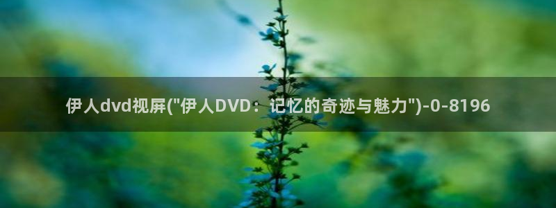 久久伊人小老弟影院：伊人dvd视屏(\