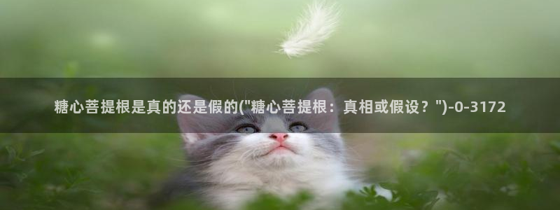 糖心vlog最新一集