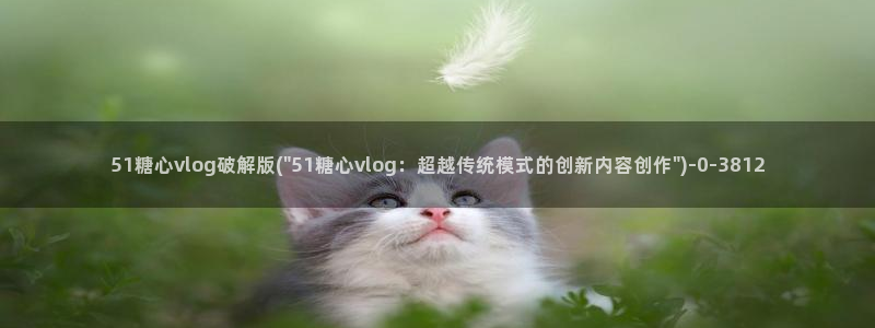 糖心vlog在线观看网站