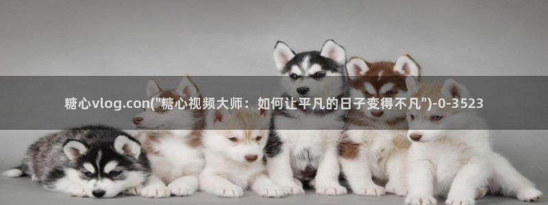糖心vlog在哪看