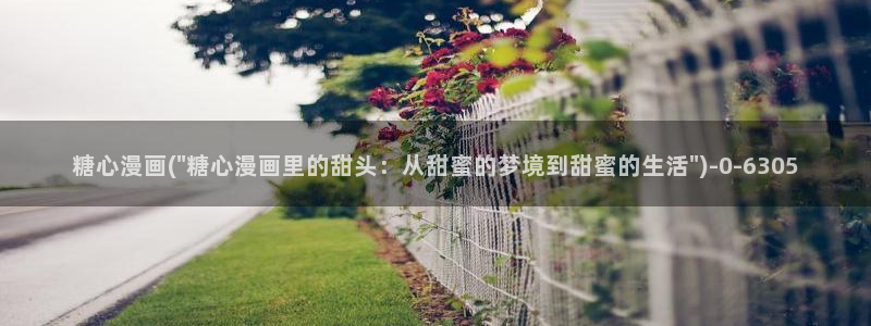 vlog糖心