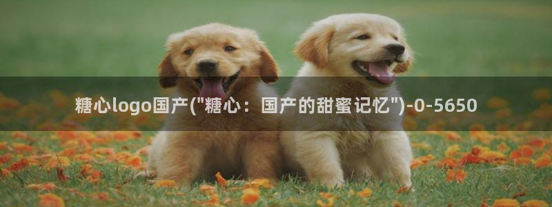 糖心vlog软件