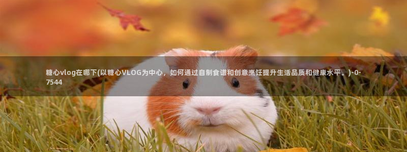除了糖心vlog还有什么
