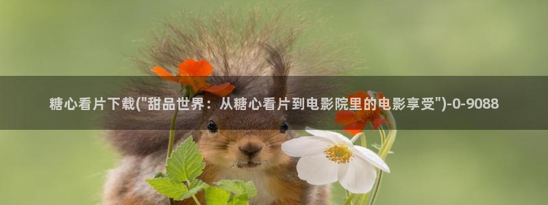 糖vlog原创