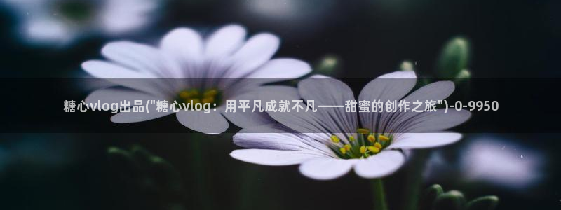 糖心vlog破解下载