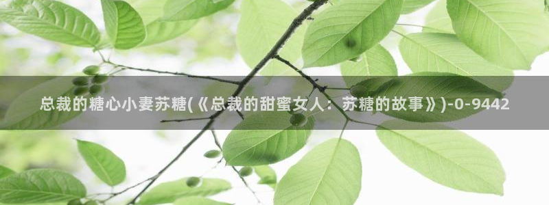 糖心vlog在线观看高清