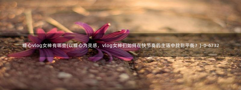 糖心入口vlog