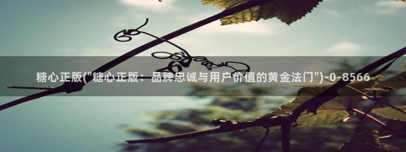 糖心vlog直接进入