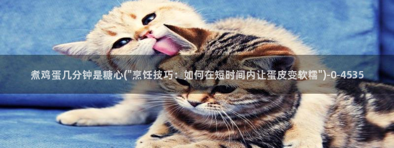 糖心vlog免费高清