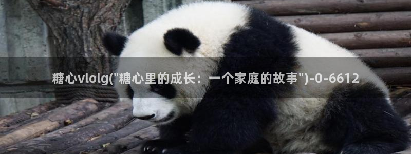 糖心vlog虾酱