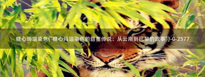 糖心vlog糖心