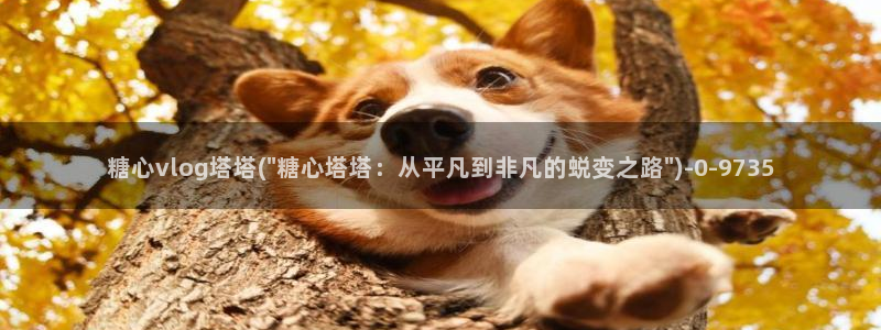 糖心vlog免费观看下载